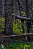 canada-2025-moraine-lake-14