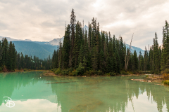 yoho-emerald-lake-1