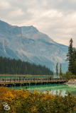 yoho-emerald-lake-4