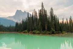 yoho-emerald-lake-5