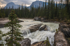 yoho-natural-bridge-2