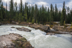 yoho-natural-bridge-6