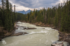 yoho-natural-bridge-7