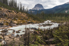 yoho-takakkaw-falls-6