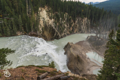 yoho-wapta-falls-5
