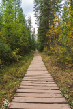 yoho-wapta-falls-6