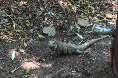IMG_1120 IMG_1120