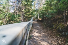 devils_kettle_2019-1