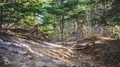 devils_kettle_2019-2