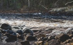 devils_kettle_2019-4