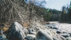 devils_kettle_2019-8