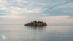 scenes-duluth-2