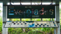 florida-everglades-2