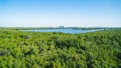 florida-2023-lake-forest-park-1