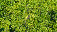 florida-2023-lake-forest-park-2