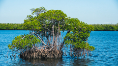 florida-2023-lake-forest-park-3