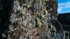 grand_marais-14