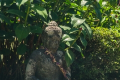 hawaii-byodoin-10