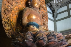 hawaii-byodoin-5
