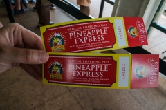 hawaii-dole_plantation-14