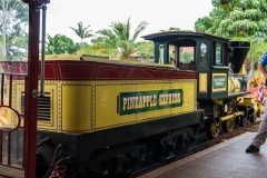 hawaii-dole_plantation-15