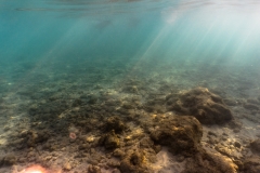 hawaii-haunama_bay-1