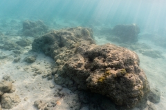 hawaii-haunama_bay-10