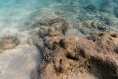 hawaii-haunama_bay-11