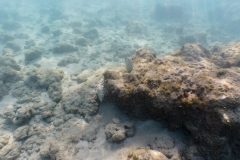 hawaii-haunama_bay-12