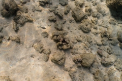 hawaii-haunama_bay-13