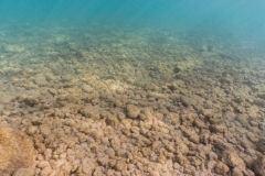 hawaii-haunama_bay-14