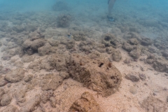 hawaii-haunama_bay-18