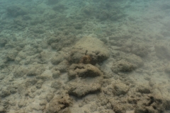 hawaii-haunama_bay-6