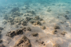 hawaii-haunama_bay-8