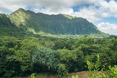 hawaii-hoomaluhia_garden-2