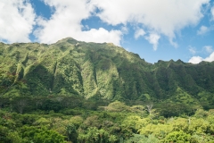 hawaii-hoomaluhia_garden-3