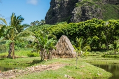 hawaii-kualoa-6