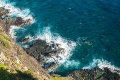 hawaii-makapuu_trail-11