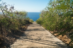 hawaii-makapuu_trail-18