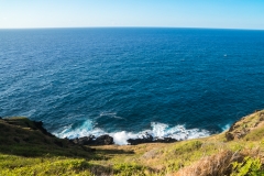 hawaii-makapuu_trail-2