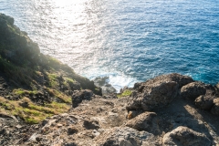 hawaii-makapuu_trail-4