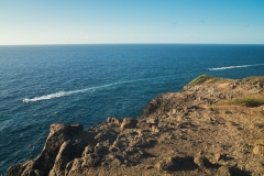hawaii-makapuu_trail-5