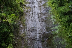 hawaii-manoa_falls-10