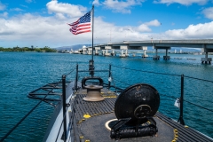 hawaii-ph_arizona_bowfin-29