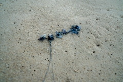 hawaii-waimanalo_beach-1