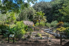 hawaii-waimea_valley-11