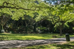 hawaii-waimea_valley-18