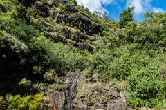 hawaii-waimea_valley-24
