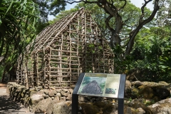 hawaii-waimea_valley-8