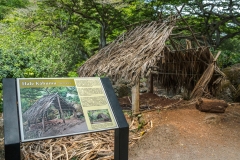 hawaii-waimea_valley-9